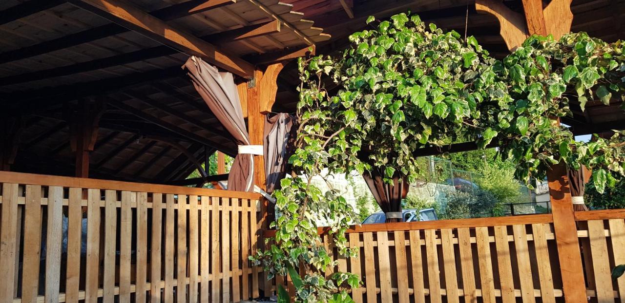 Эко-Отель Гагра Gagra Exterior photo